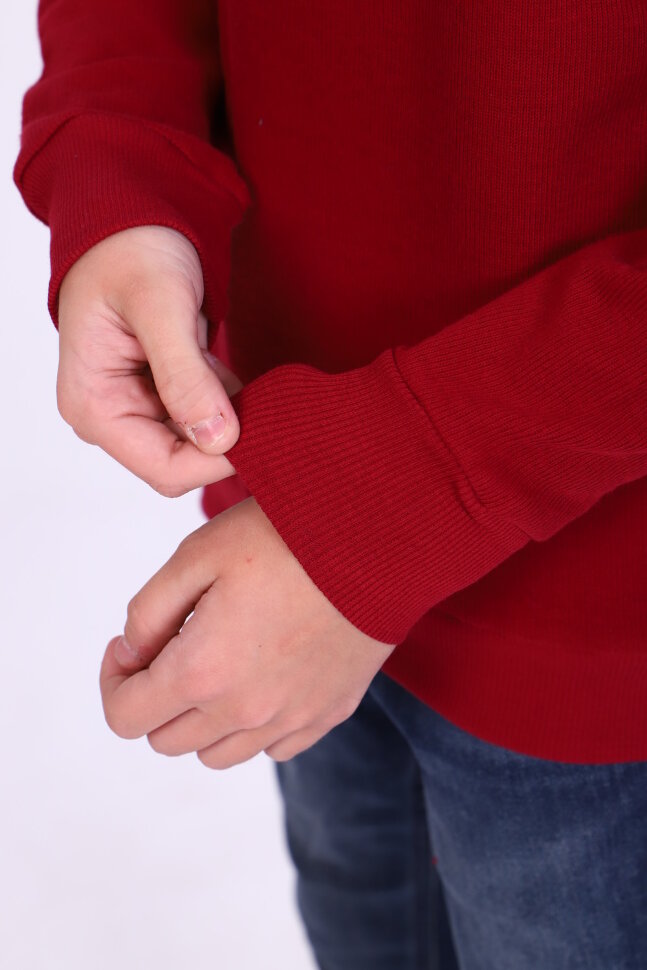 Детский джемпер для мальчика 17590 бордо