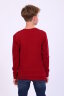 Детский джемпер для мальчика 17590 бордо