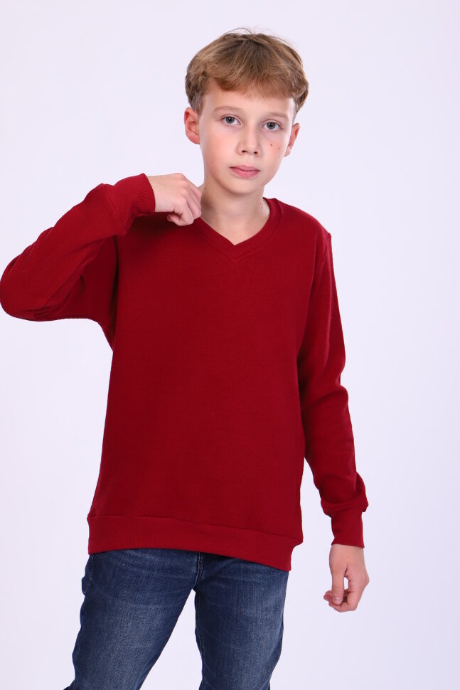 Детский джемпер для мальчика 17590 бордо