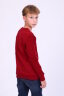 Детский джемпер для мальчика 17590 бордо
