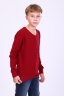 Детский джемпер для мальчика 17590 бордо