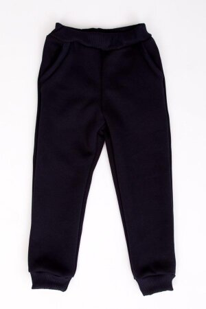 Брюки Снег детские 2490