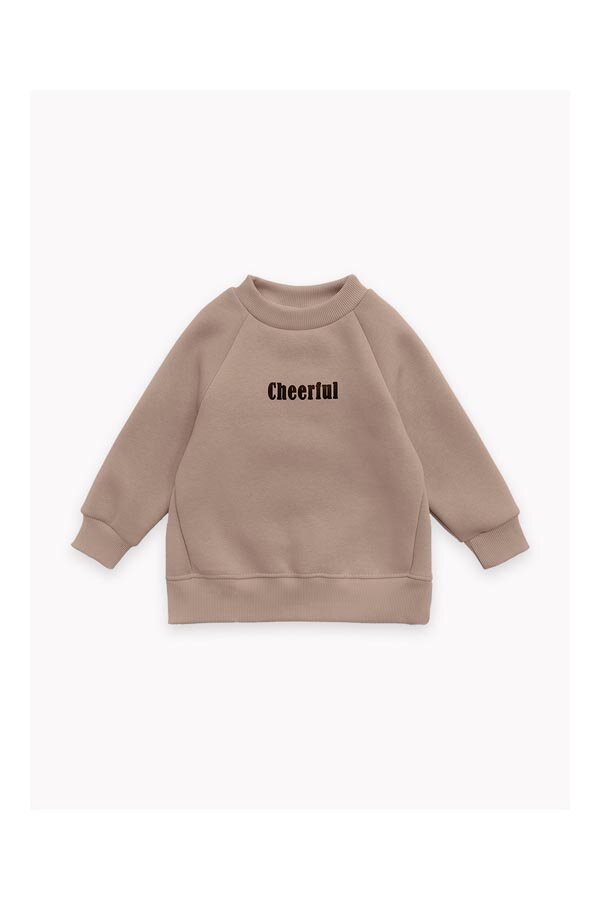 Детская толстовка для мальчика футер начёс Джеймс 30100