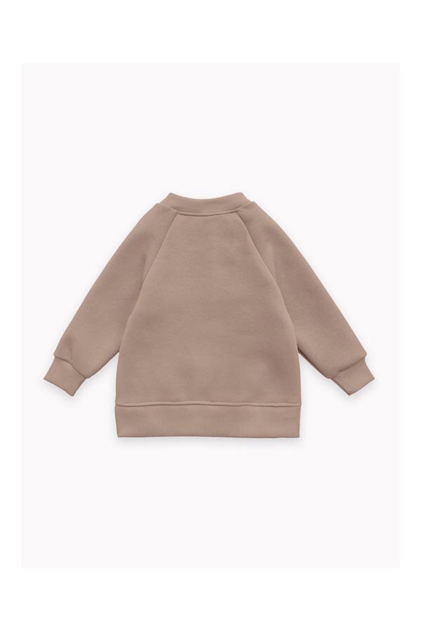 Детская толстовка для мальчика футер начёс Джеймс 30100