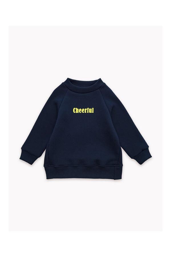 Детская толстовка для мальчика футер начёс Джеймс 30100