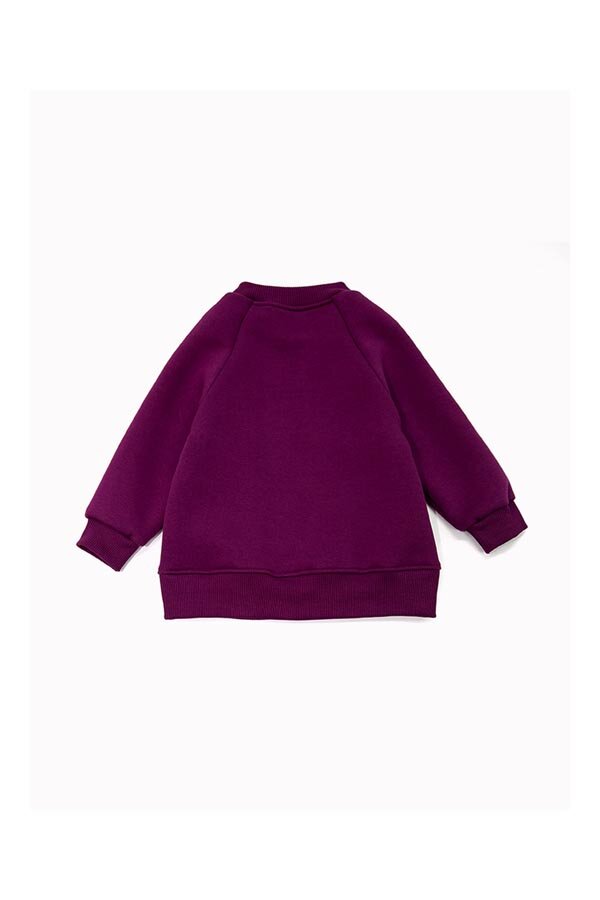 Толстовка для девочки футер начёс Дэйзи 30101