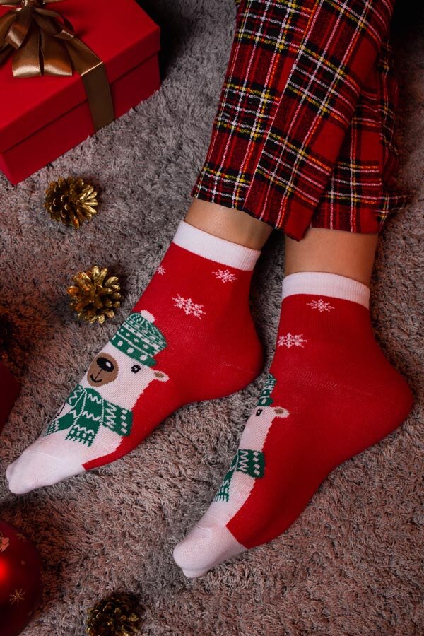 Носки Сибирь женские