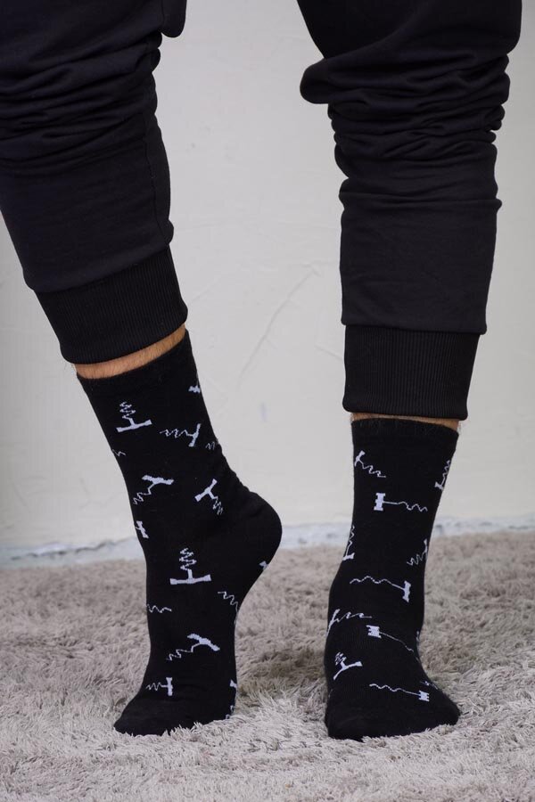 Носки мужские торжество