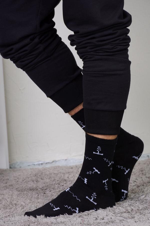 Носки мужские торжество