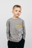Детский джемпер для мальчика 62304 серый