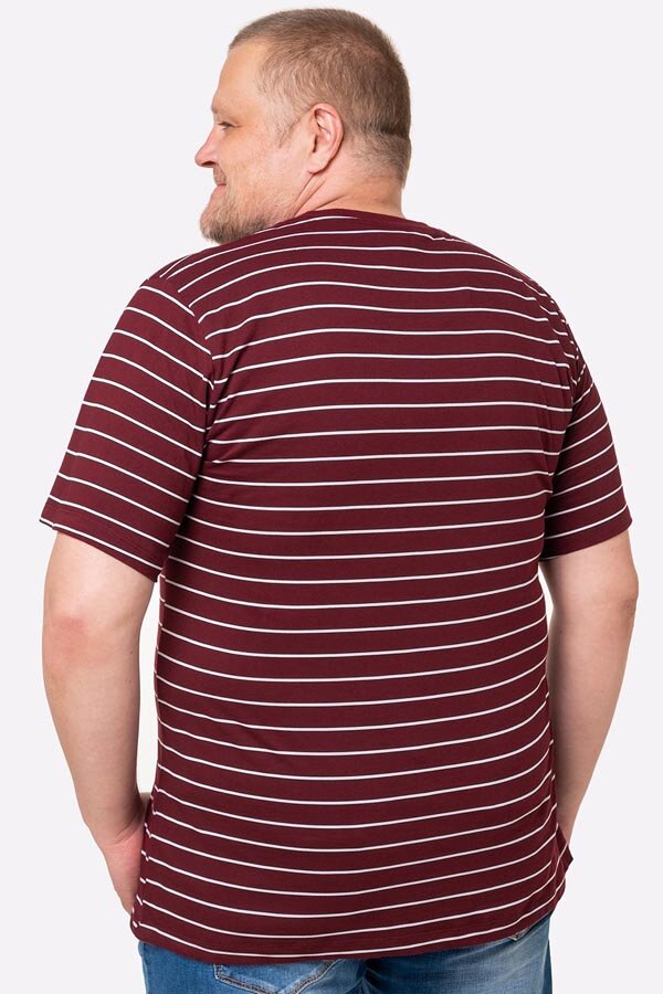 Мужская футболка Футболка HF9119 Полоска Happyfox