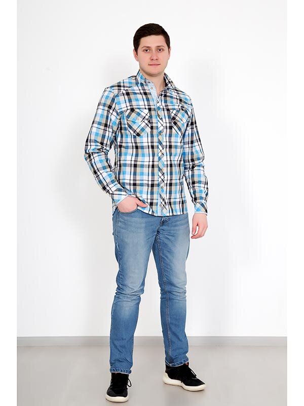 Рубашка мужская Альберто 2937