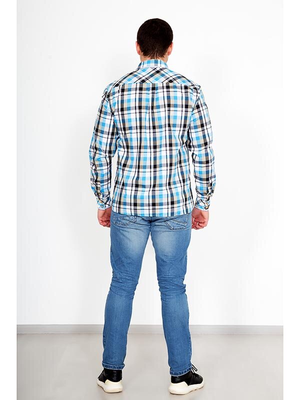 Рубашка мужская Альберто 2937