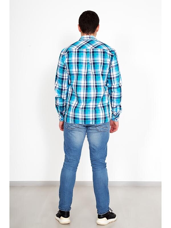 Рубашка мужская Альберто 2939