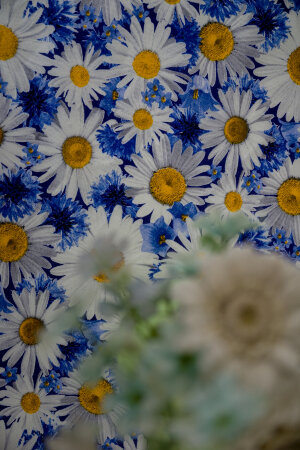 Скатерть Ромашковое поле