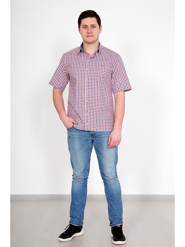 Рубашка мужская Антонио 2940