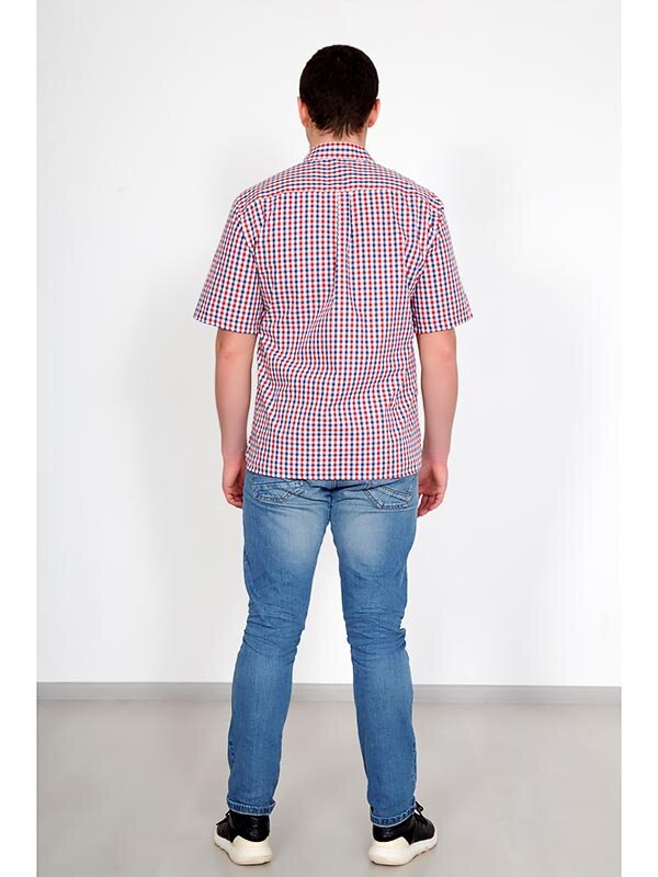 Рубашка мужская Антонио 2940