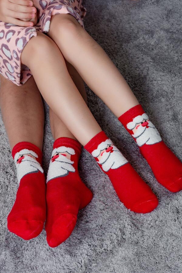 Носки Сугроб женские полуплюш