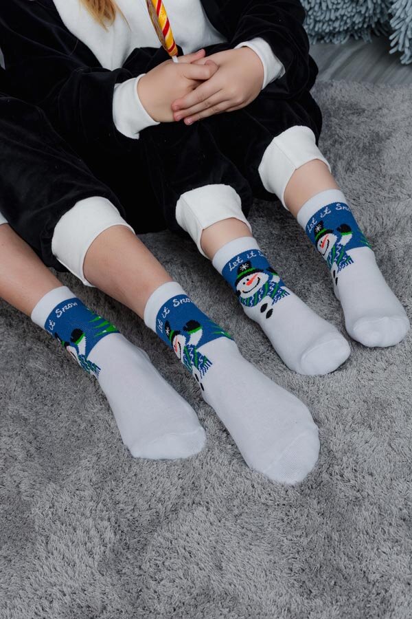 Носки Сугроб женские полуплюш