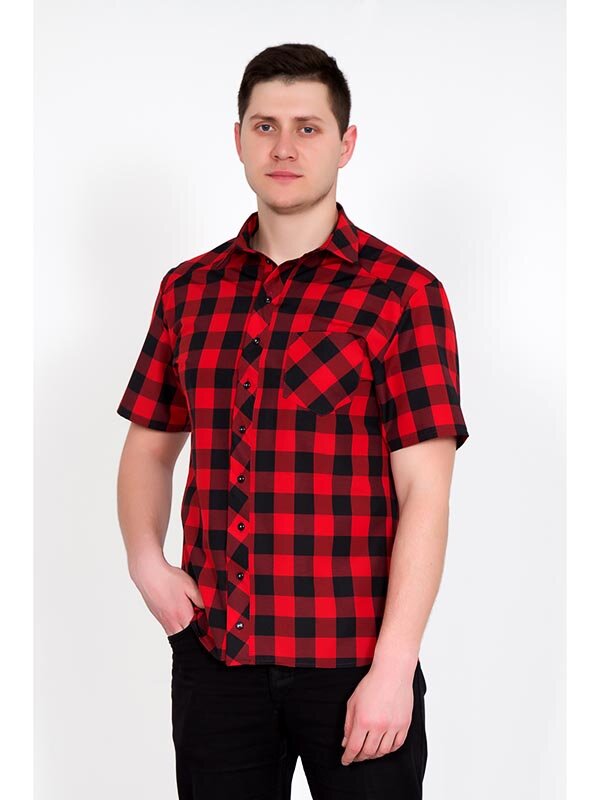 Рубашка мужская Армандо 3365