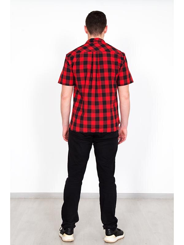 Рубашка мужская Армандо 3365