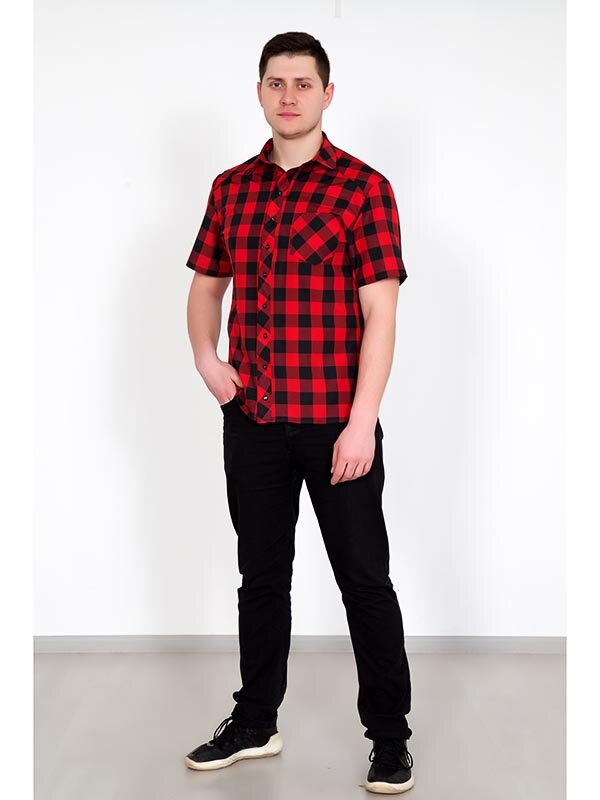 Рубашка мужская Армандо 3365