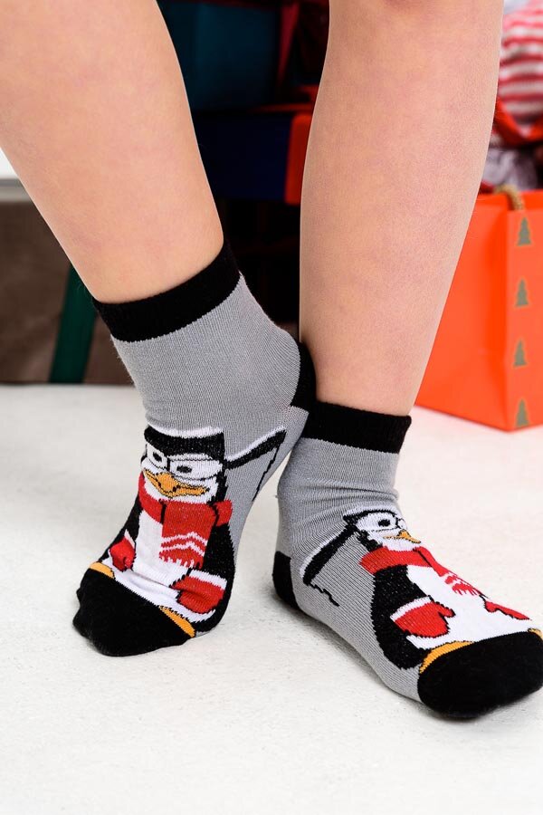 Детские носки стандарт Патрик