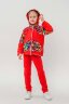 Детский костюм с брюками спортивный Фиджи красный
