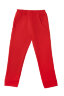 Детский костюм с брюками спортивный Фиджи красный