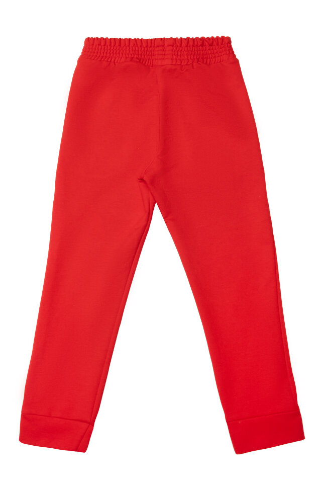 Детский костюм с брюками спортивный Фиджи красный