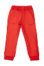 Детский костюм с брюками спортивный Фиджи красный