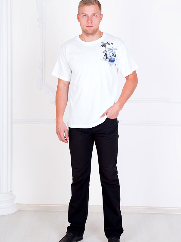 Футболка мужская с принтом 1858