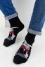 Носки стандарт мужские Роберт