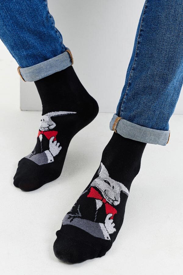 Носки стандарт мужские Роберт