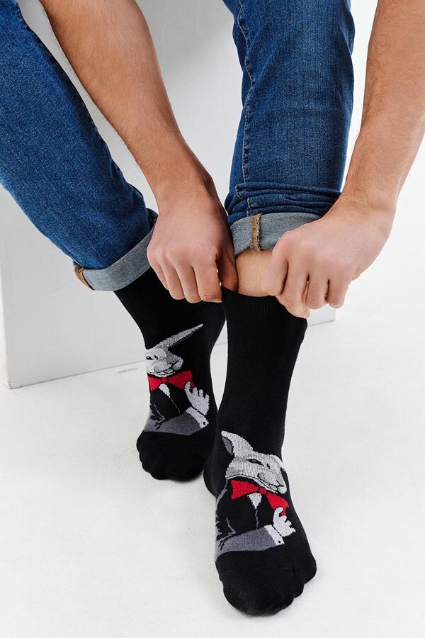 Носки стандарт мужские Роберт