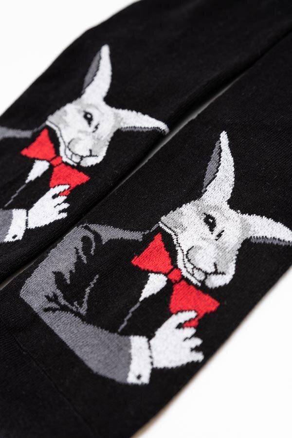 Носки стандарт мужские Роберт