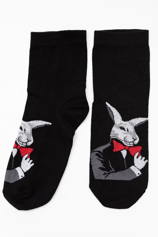 Носки стандарт мужские Роберт