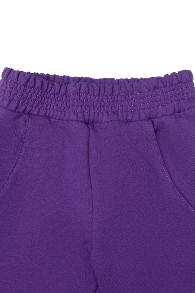 Детский костюм с брюками спортивный Фиджи фиолетовый