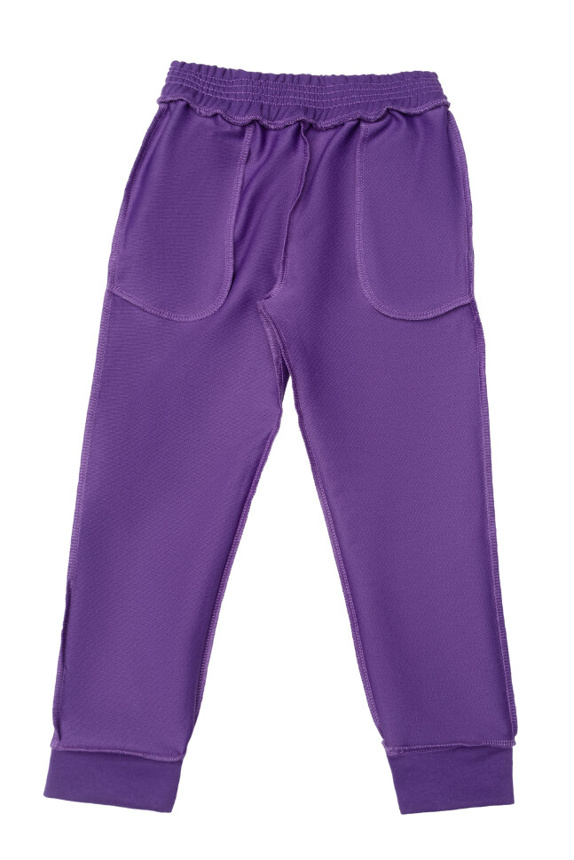 Детский костюм с брюками спортивный Фиджи фиолетовый