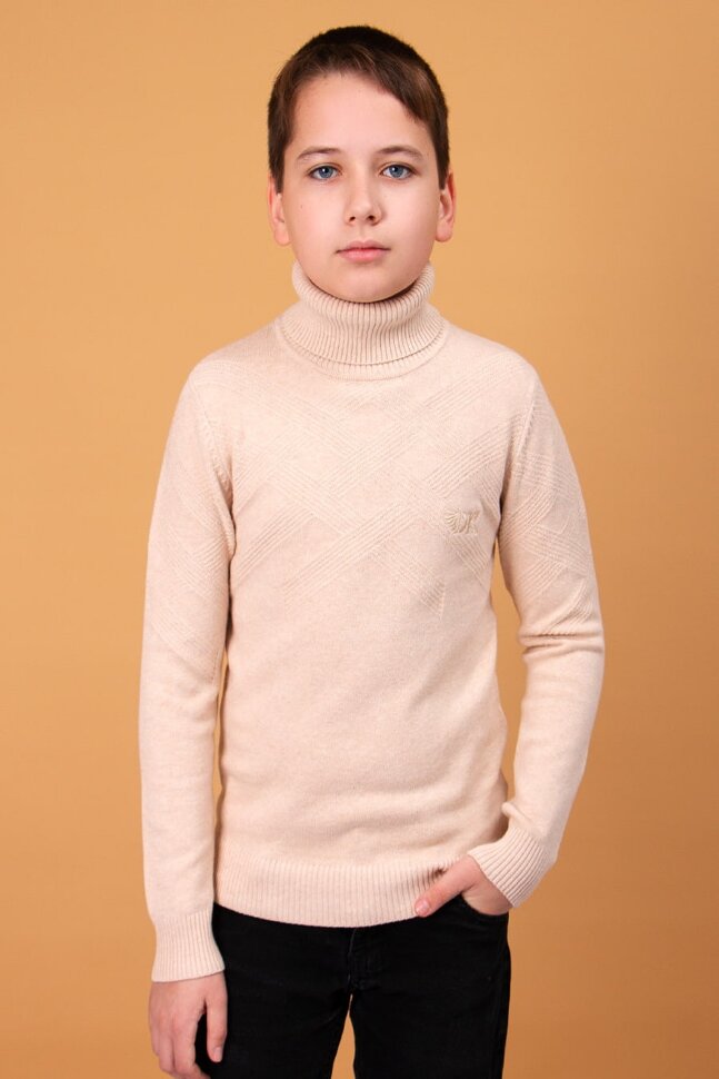 Детский джемпер для мальчика SP527 бежевый