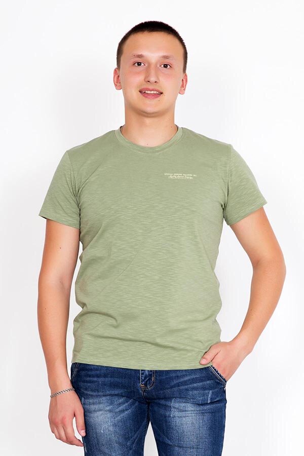 Футболка мужская Томас 5414