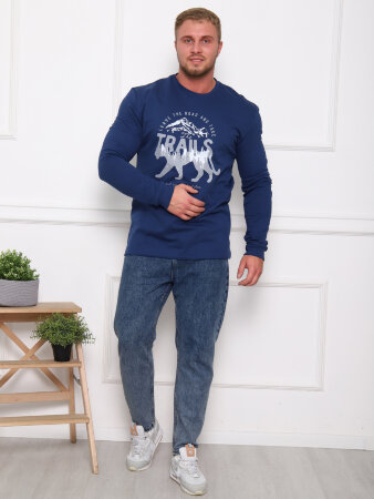 Джемпер Паша-1