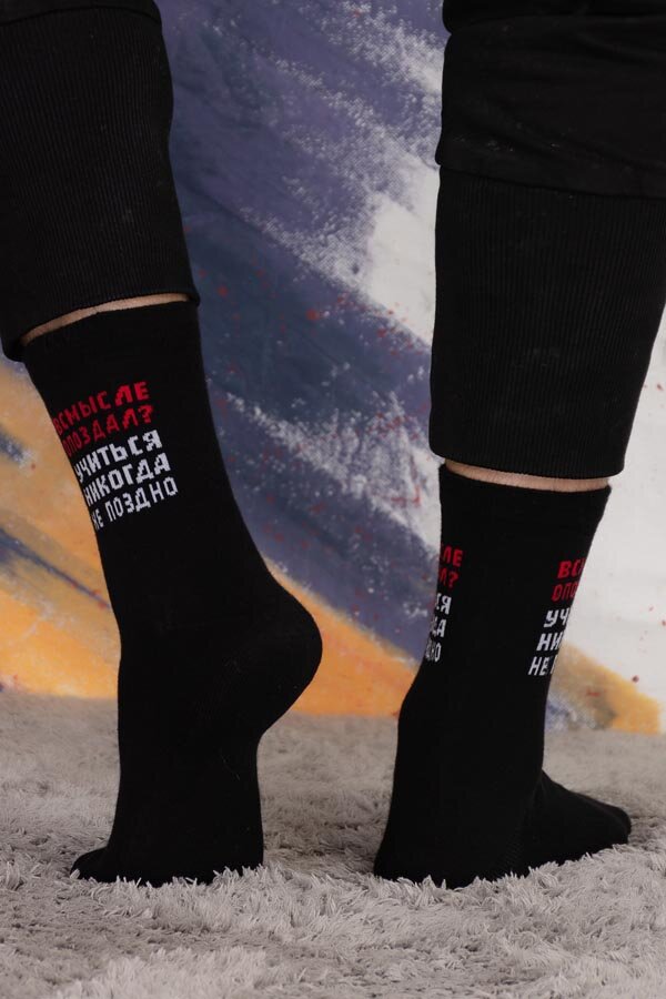 Носки Стажёр мужские