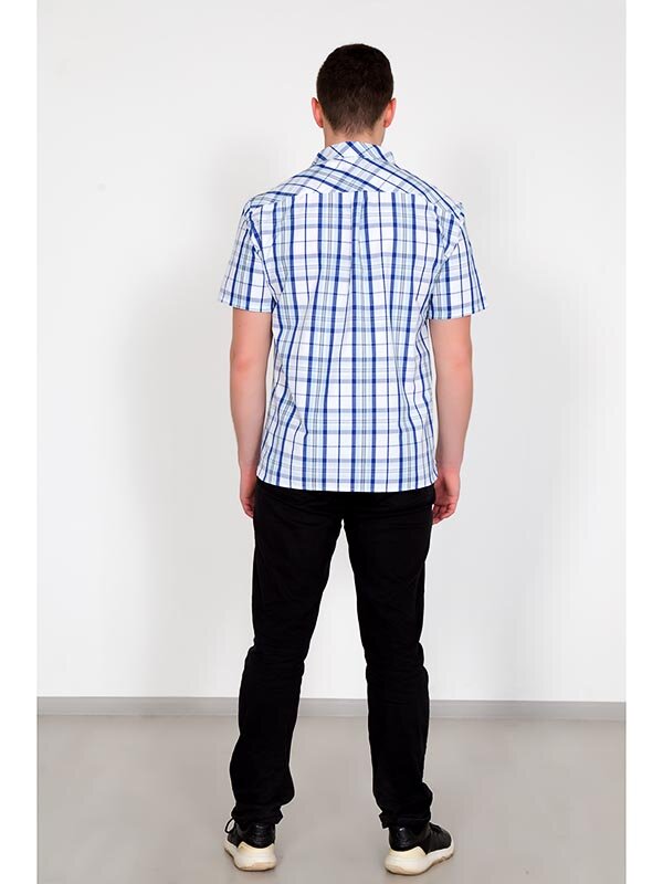 Рубашка мужская Ромио 3369