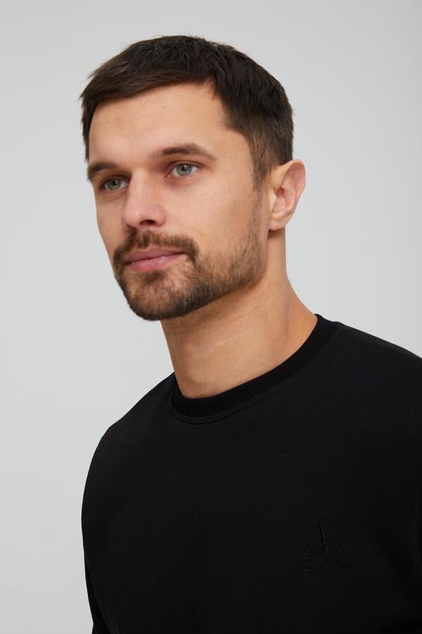 Толстовка мужская Бронд Ч 9013