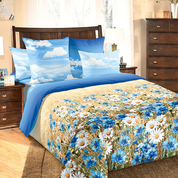 КПБ Васильки 2 сп. европр.