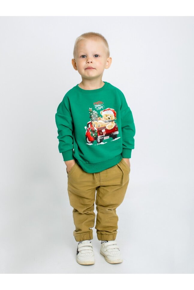 Детский свитшот для мальчика Праздник зелёный