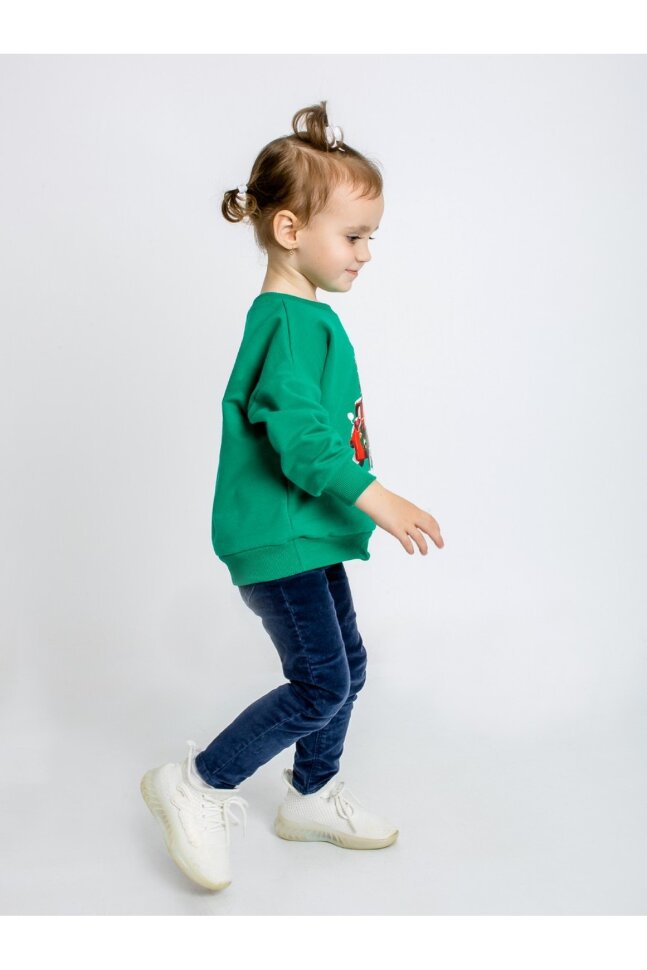 Детский свитшот для мальчика Праздник зелёный