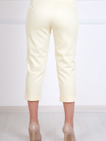 Брюки Ирма 2380